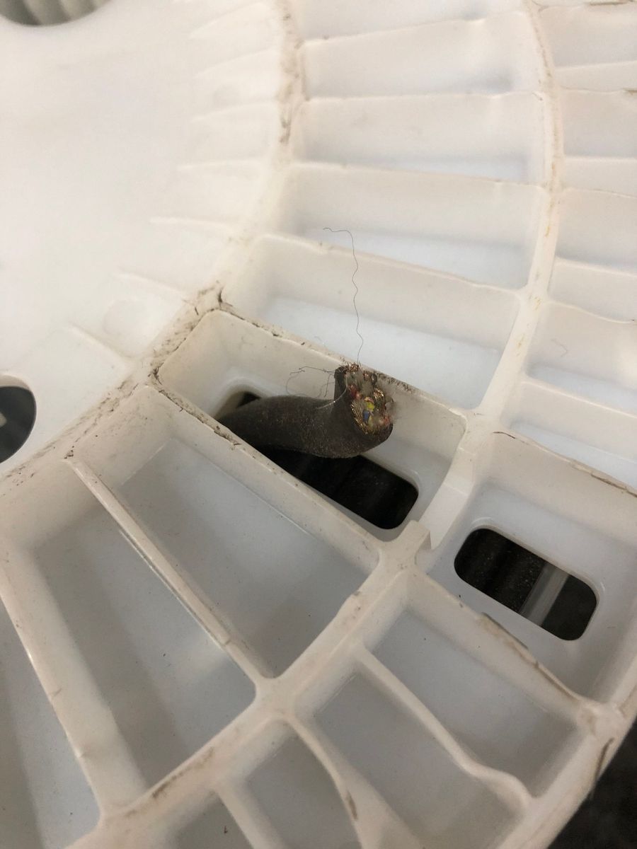 Multiple Conductor Wire