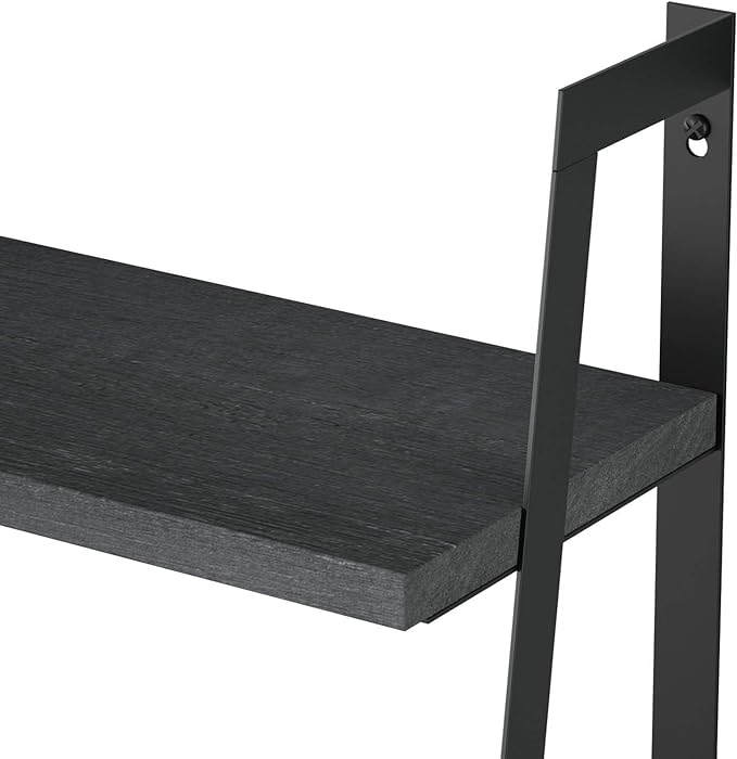 SRIWATANA Floating Wall Shelves, Rustic Wood (Black)