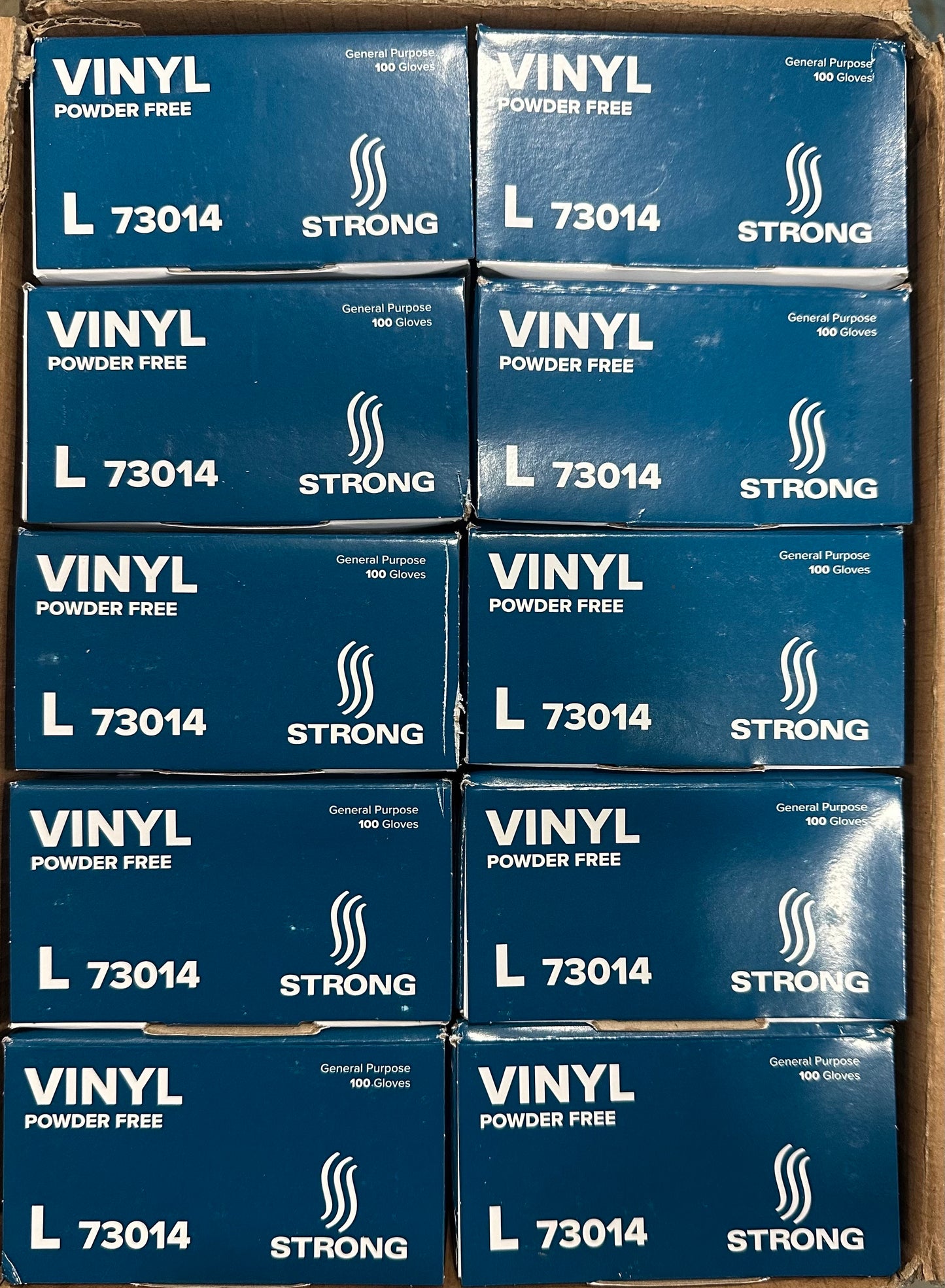 STRONG General Purpose Vinyl Gloves - Large (1000/C)