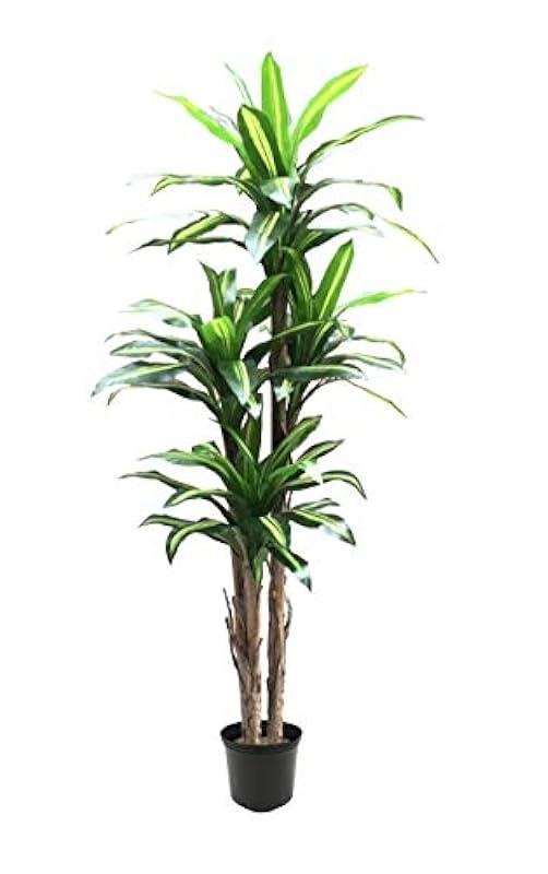 AMERIQUE Gorgeous Tropical Dracaena Artificial Tree Silk Plant with UV Protection, Nursery Plastic Pot, Feel Real Technology, Super Quality, 6', Green and Red