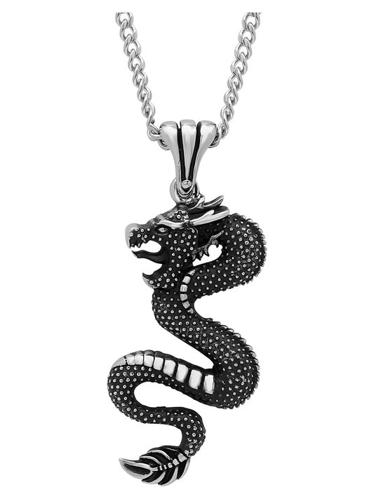 Believe by Brilliance Men's Black Stainless Steel Wyrm Dragon Textured Pendant Necklace