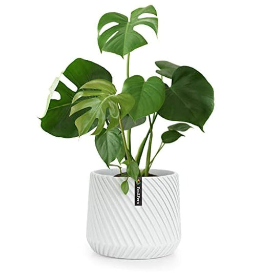 Fox & Fern Flower Pot, 8 Inch Plant Pots, White Planters for Indoor Plants, White Pots for Indoor Plants