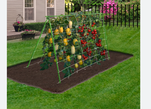 Dalen Vertical Gardening Trellis Netting Kit, 22 Inch, 5/8