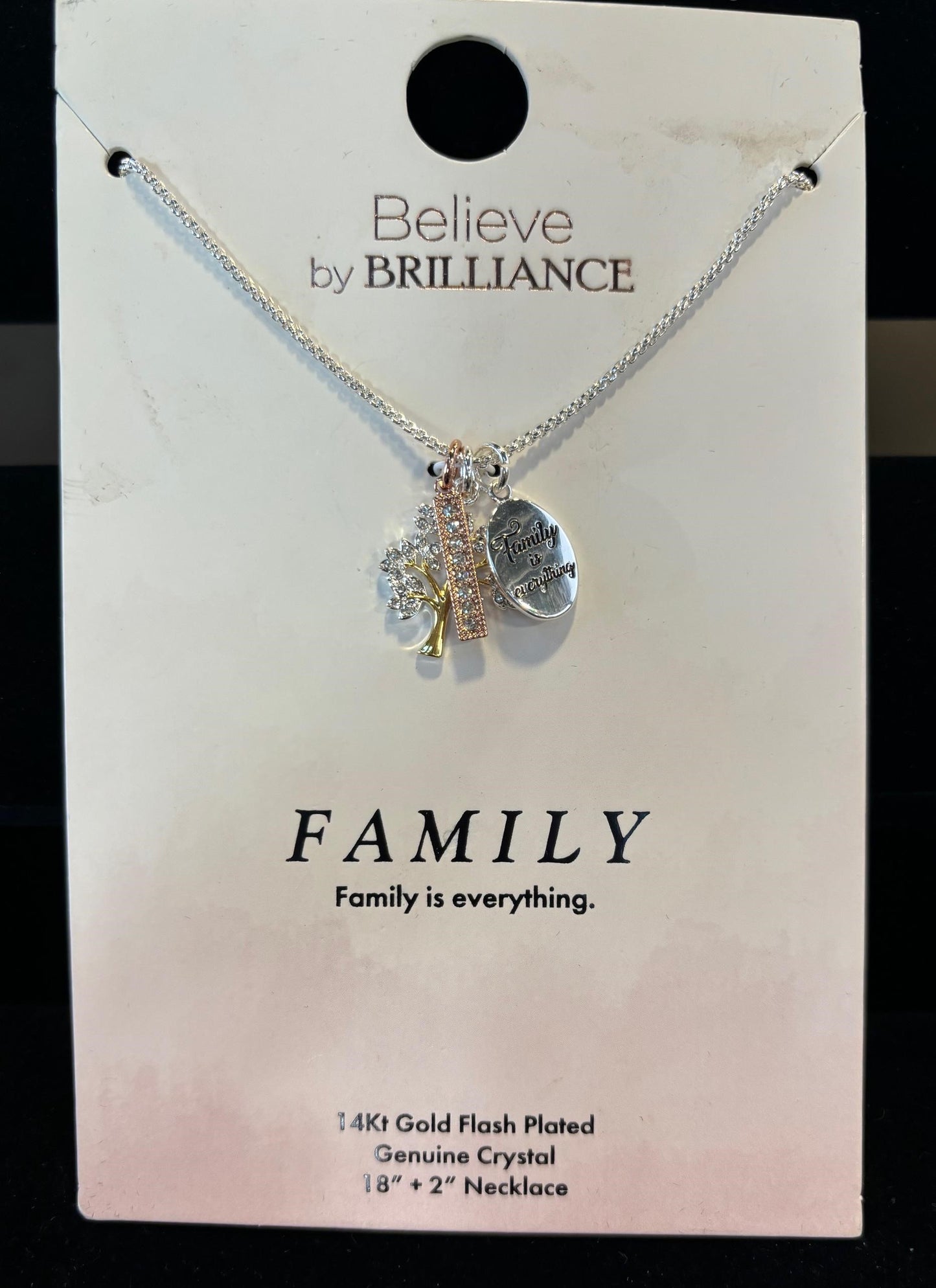 Believe By Brilliance Women's 14Kt Gold Flash Plated Crystal "Family Is Forever" Tree Necklace, 18+2