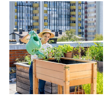 LLAGSAN Raised Planter Box Solid Cedar Natural,34x19x30