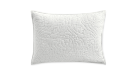 Charter Club Sculpted Paisley Embroidered Cotton Pillow Sham Standard