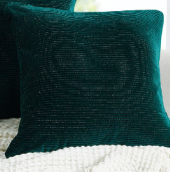 Birch Trail Velvet 2-Pack Decorative Pillow, 18 x 18 - Green - 18 x 18 Decorative Pillow