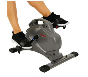 Sunny Health & Fitness SF-B0418 Magnetic Mini Exercise Bike - SF-B0418